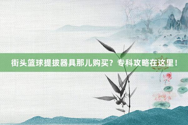 街头篮球提拔器具那儿购买？专科攻略在这里！